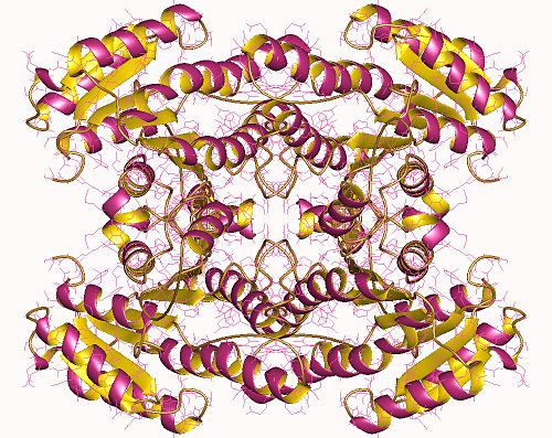 Glucose 1-dehydrogenase